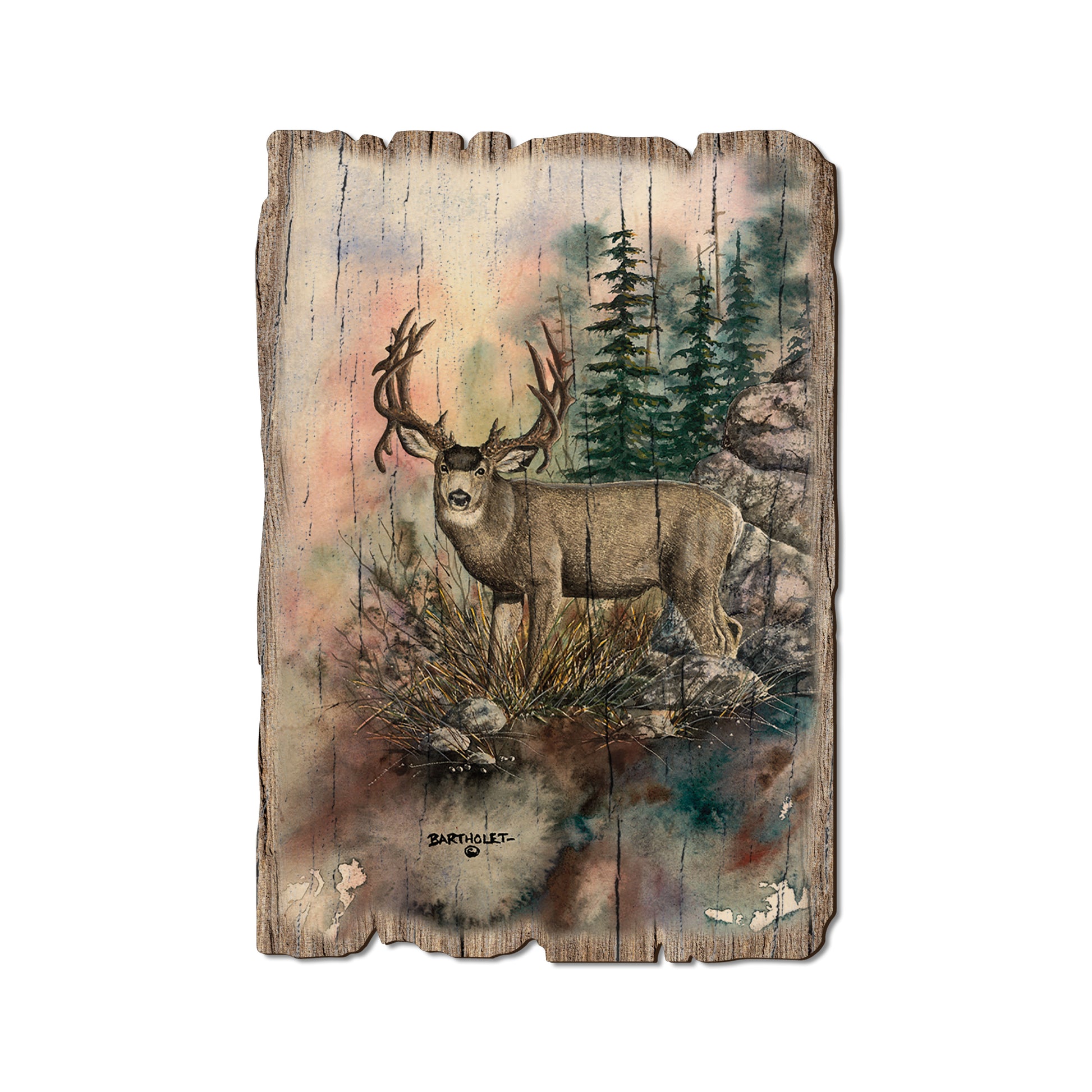 Bartholet's Double Drop - Rustic Edge Postcards & Magnets Rustic Edge Postcard (5pk // $2.80ea)