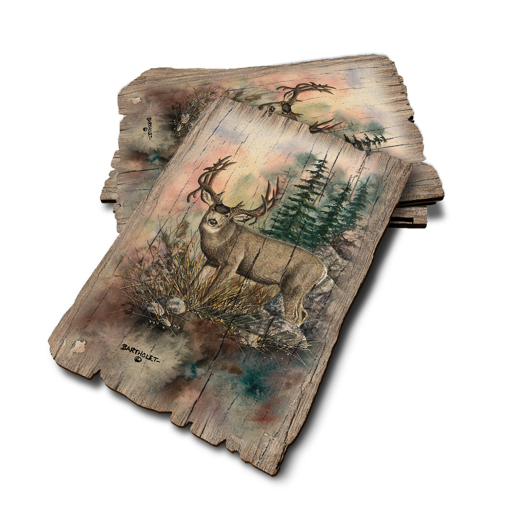 Bartholet's Double Drop - Weathered Edge Rustic Edge Postcard (5pk // $2.80ea)