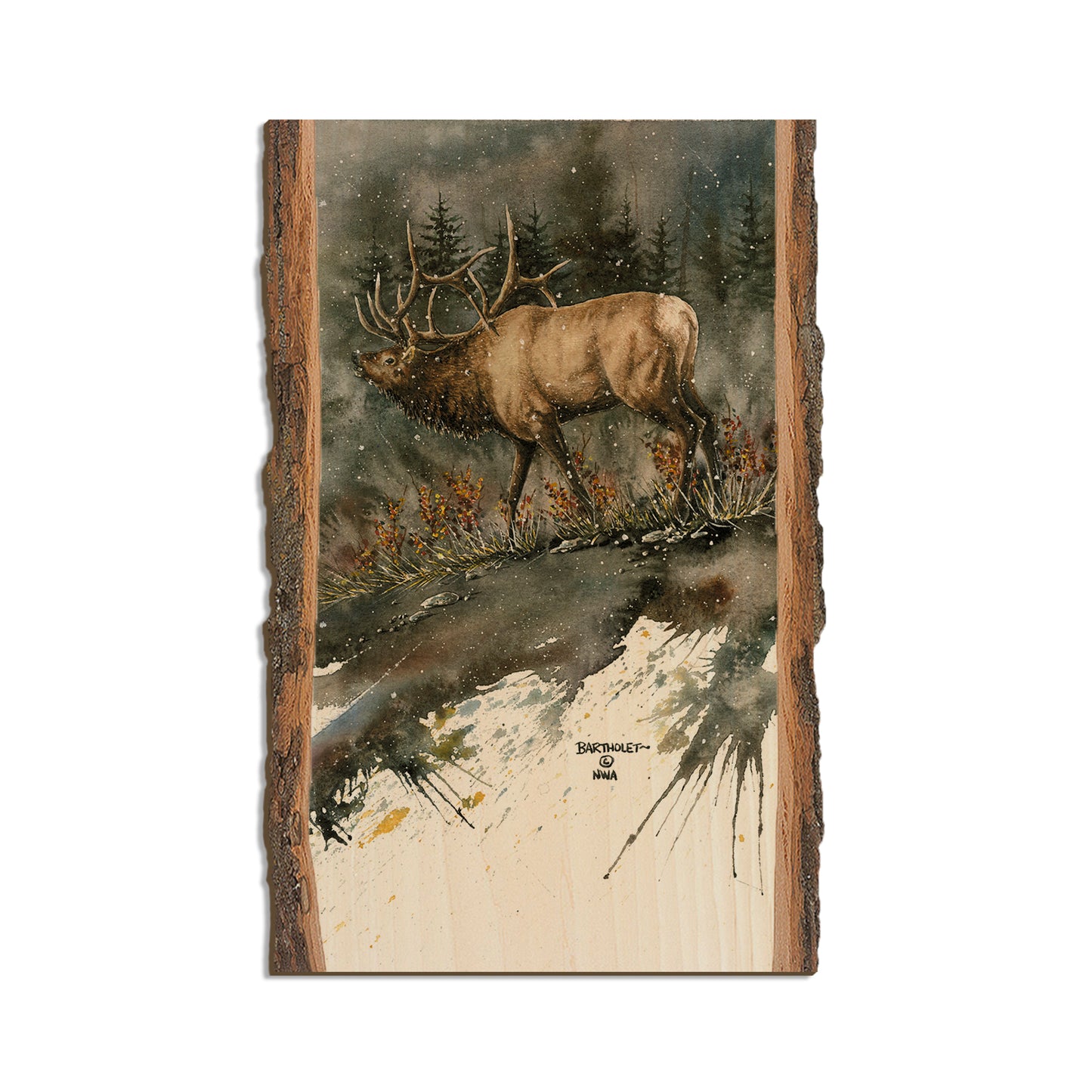 Bartholet's Day Ridge Bull  - Live Edge Live Edge Magnet (5pk // $2.80ea)