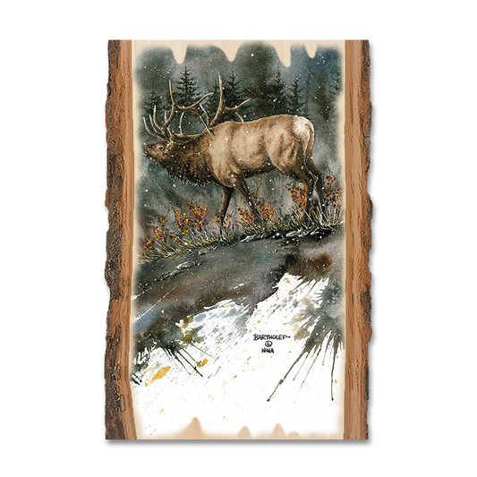 Magnet: Live Edge - Bartholet's Day Ridge Bull