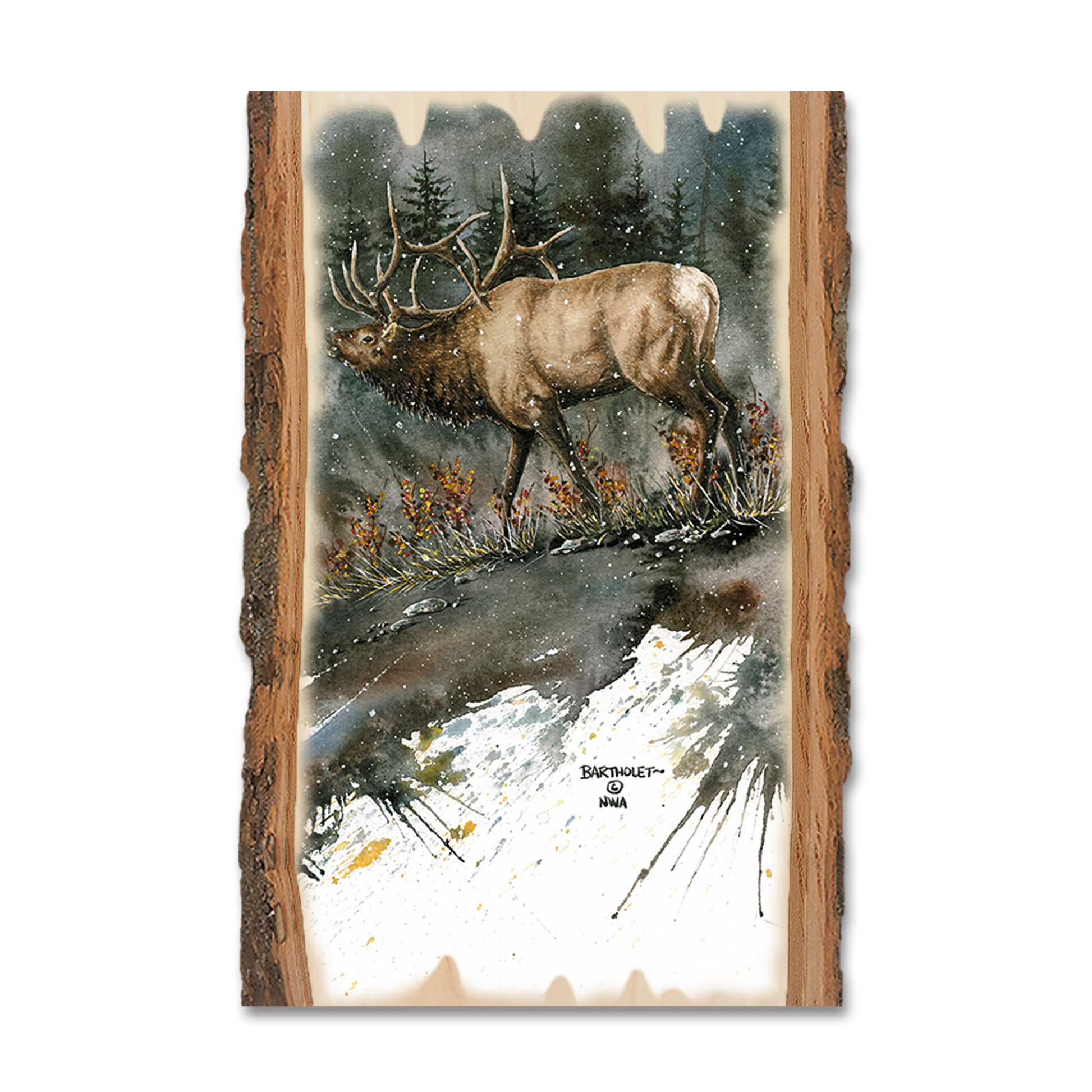 Ornament: Live Edge - Bartholet's Day Ridge Bull