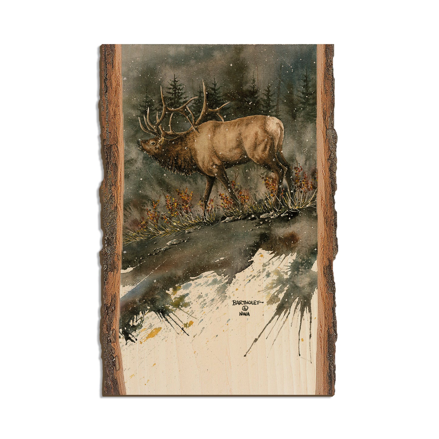 Bartholet's Day Ridge Bull  - Live Edge Live Edge Postcard (5pk // $2.80ea)