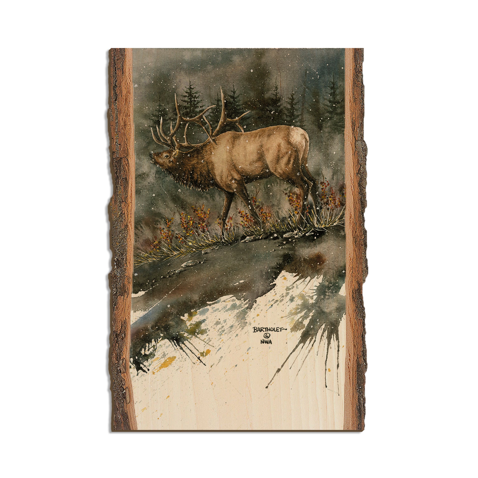 Bartholet's Day Ridge Bull  - Live Edge Live Edge Postcard (5pk // $2.80ea)