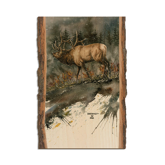 Bartholet's Day Ridge Bull  - Live Edge Live Edge Postcard (5pk // $2.80ea)