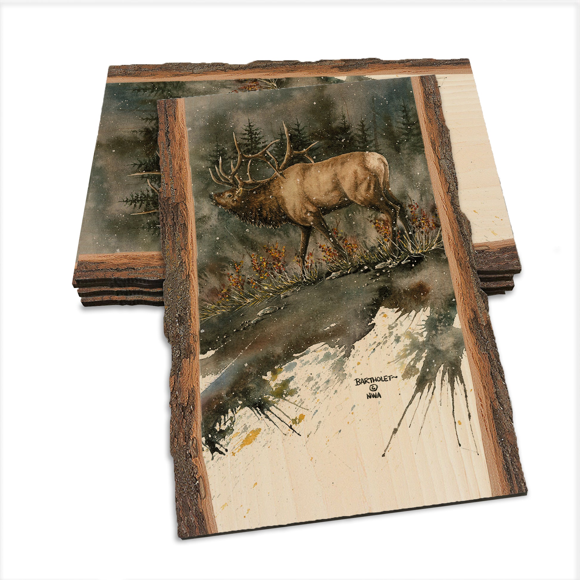Bartholet's Day Ridge Bull  - Live Edge Live Edge Postcard (5pk // $2.80ea)