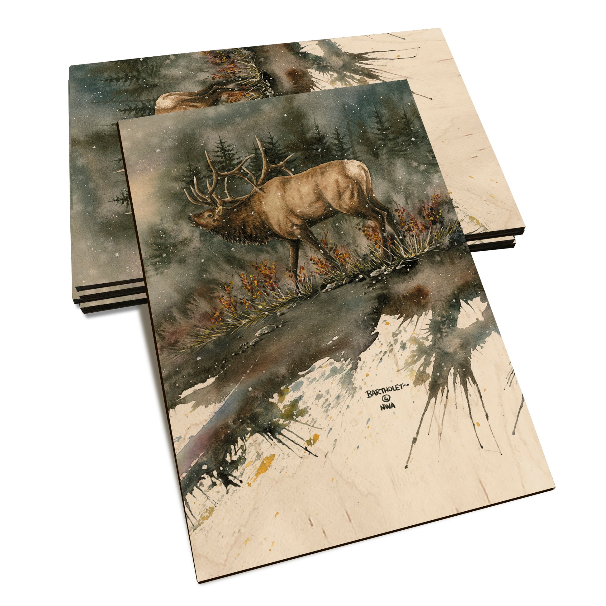 Bartholet's Day Ridge Bull  - Classic Edge Classic Edge Postcard (5pk // $2.80ea)