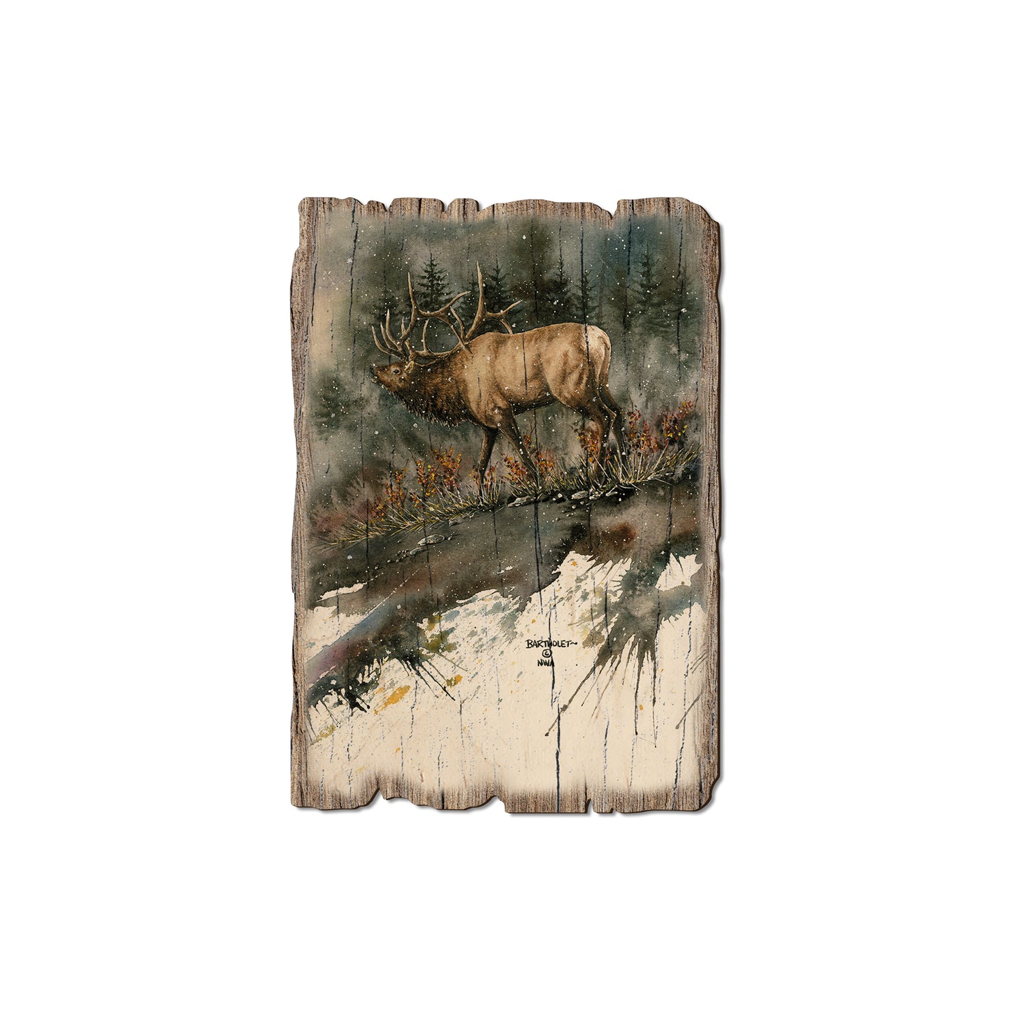 Bartholet's Day Ridge Bull - Rustic Edge Postcards & Magnets Rustic Edge Magnet (5pk // $2.80ea)