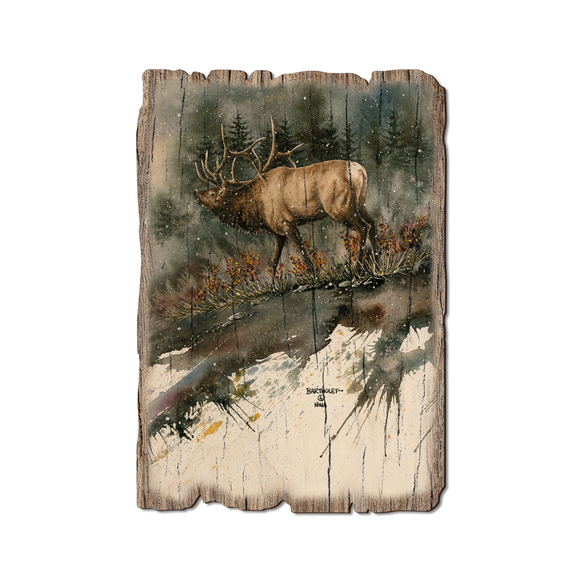 Bartholet's Day Ridge Bull - Rustic Edge Postcards & Magnets Rustic Edge Postcard (5pk // $2.80ea)