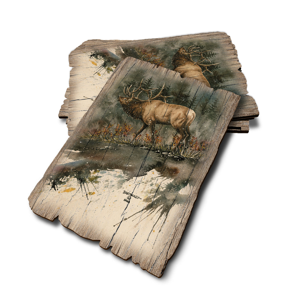 Bartholet's Day Ridge Bull - Weathered Edge Rustic Edge Postcard (5pk // $2.80ea)