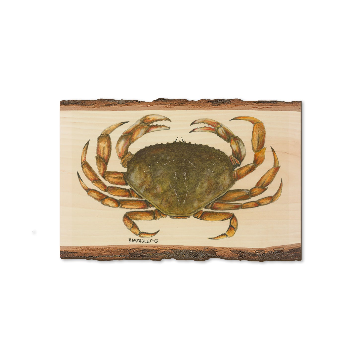 Bartholet's Dungie - Live Edge Magnet Live Edge Magnet (5pk // $2.80ea)