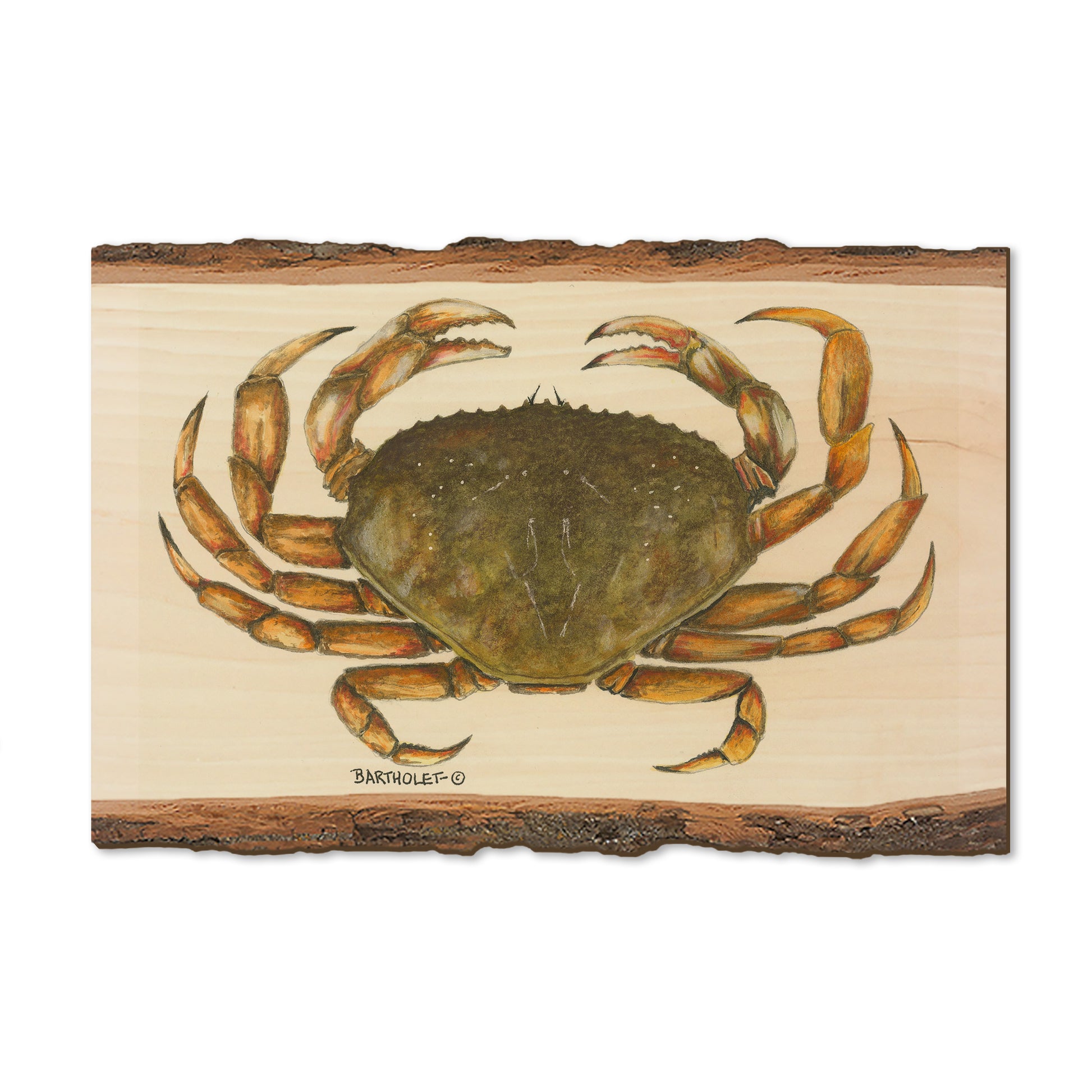 Bartholet's Dungie - Live Edge Magnet Live Edge Postcard (5pk // $2.80ea)