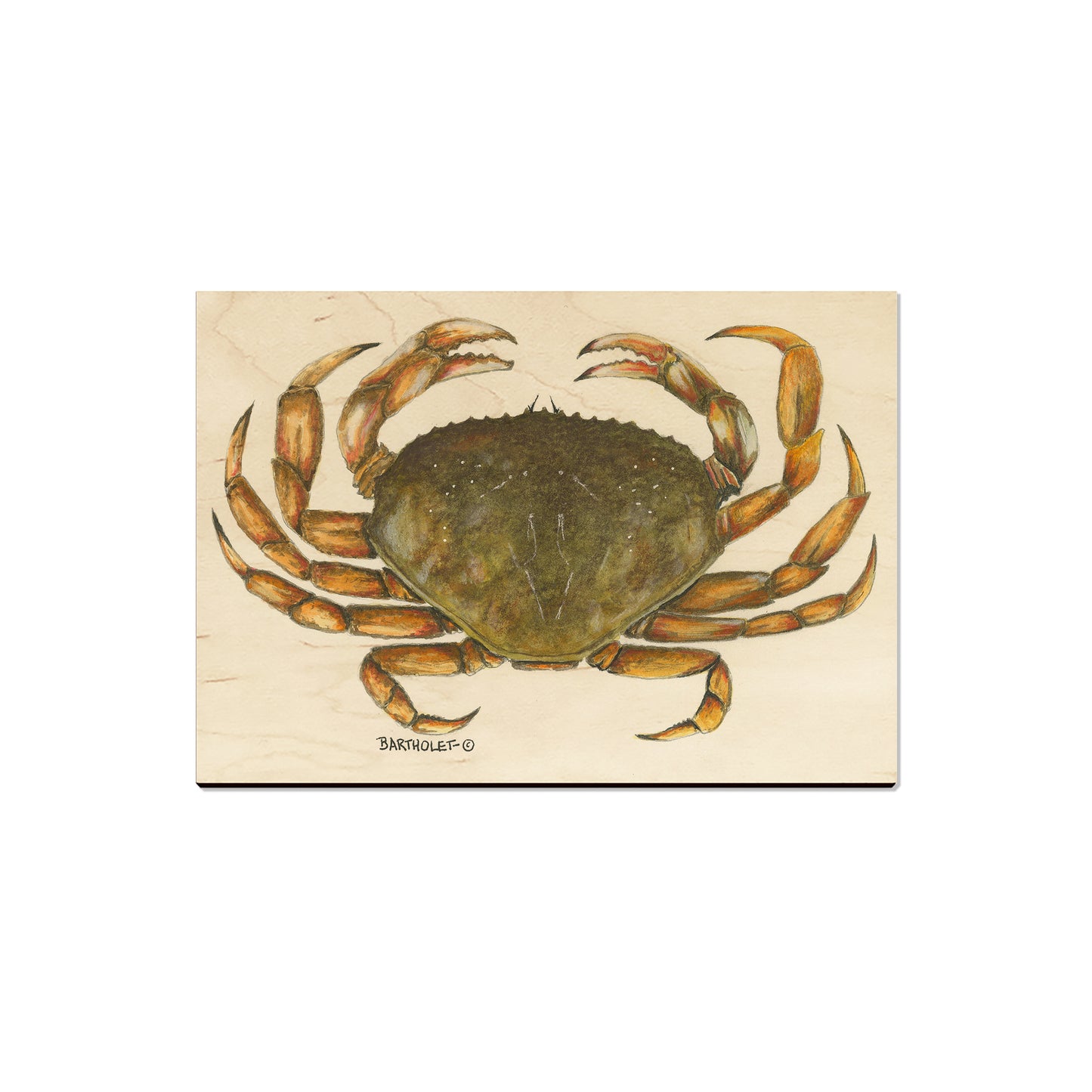 Bartholet's Dungie - Magnet Classic Edge Magnet (5pk // $2.80ea)