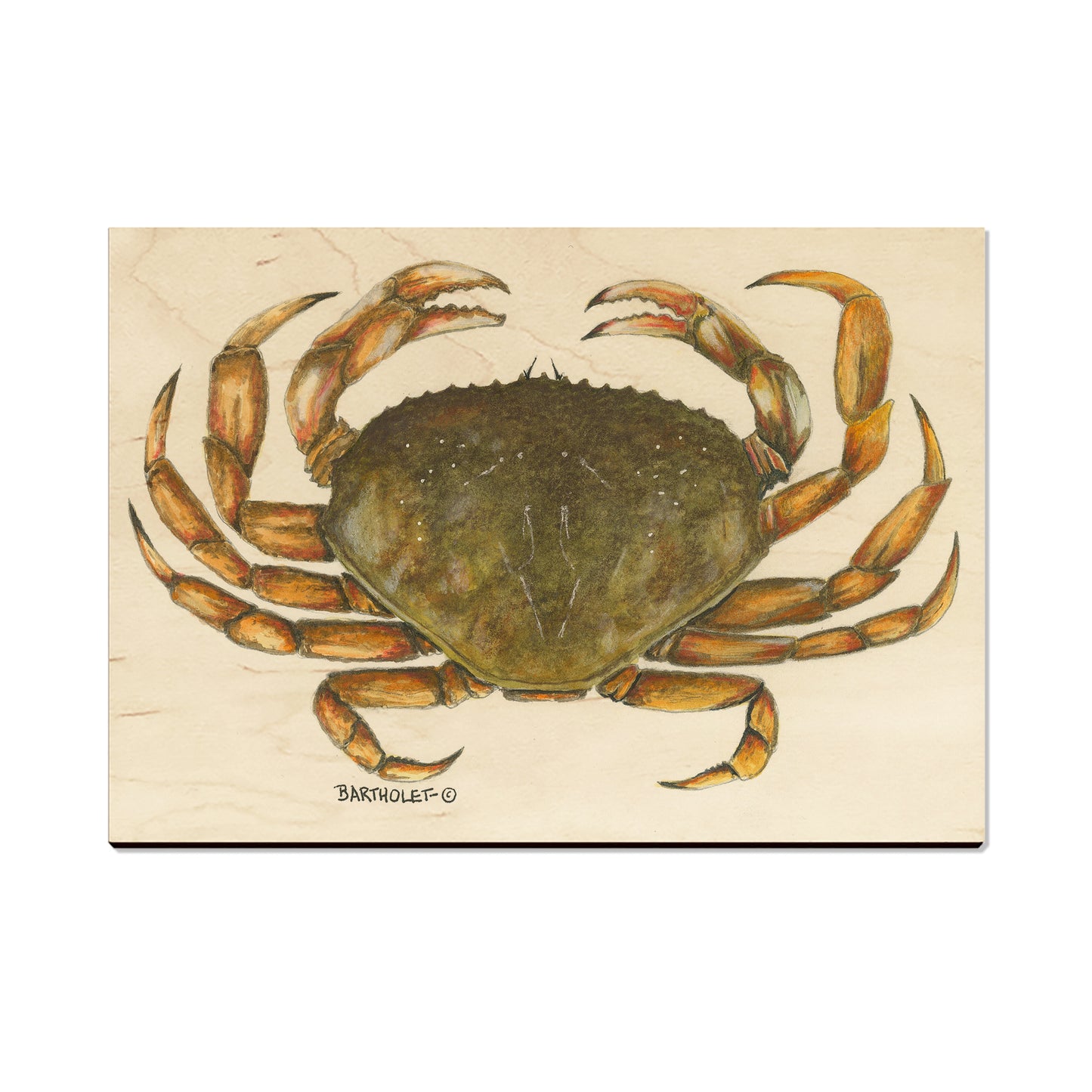Bartholet's Dungie - Magnet Classic Edge Postcard (5pk // $2.80ea)