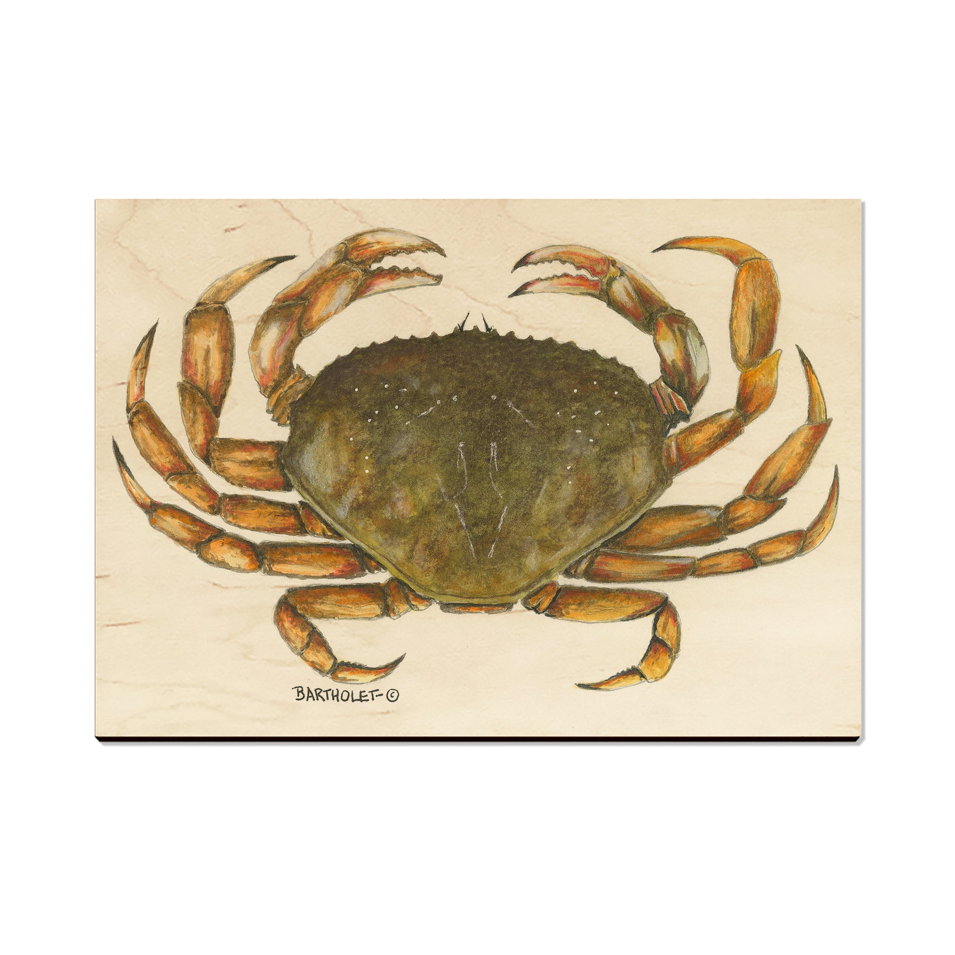 Bartholet's Dungie - Magnet Classic Edge Postcard (5pk // $2.80ea)