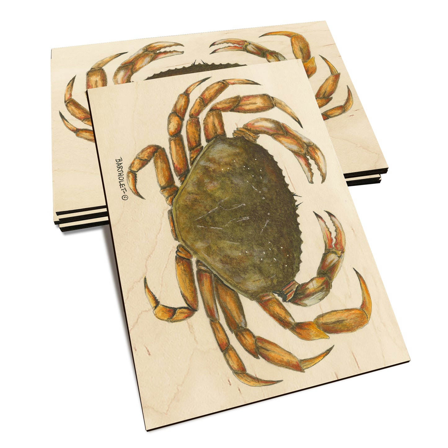 Bartholet's Dungie - Classic Edge Classic Edge Postcard (5pk // $2.80ea)
