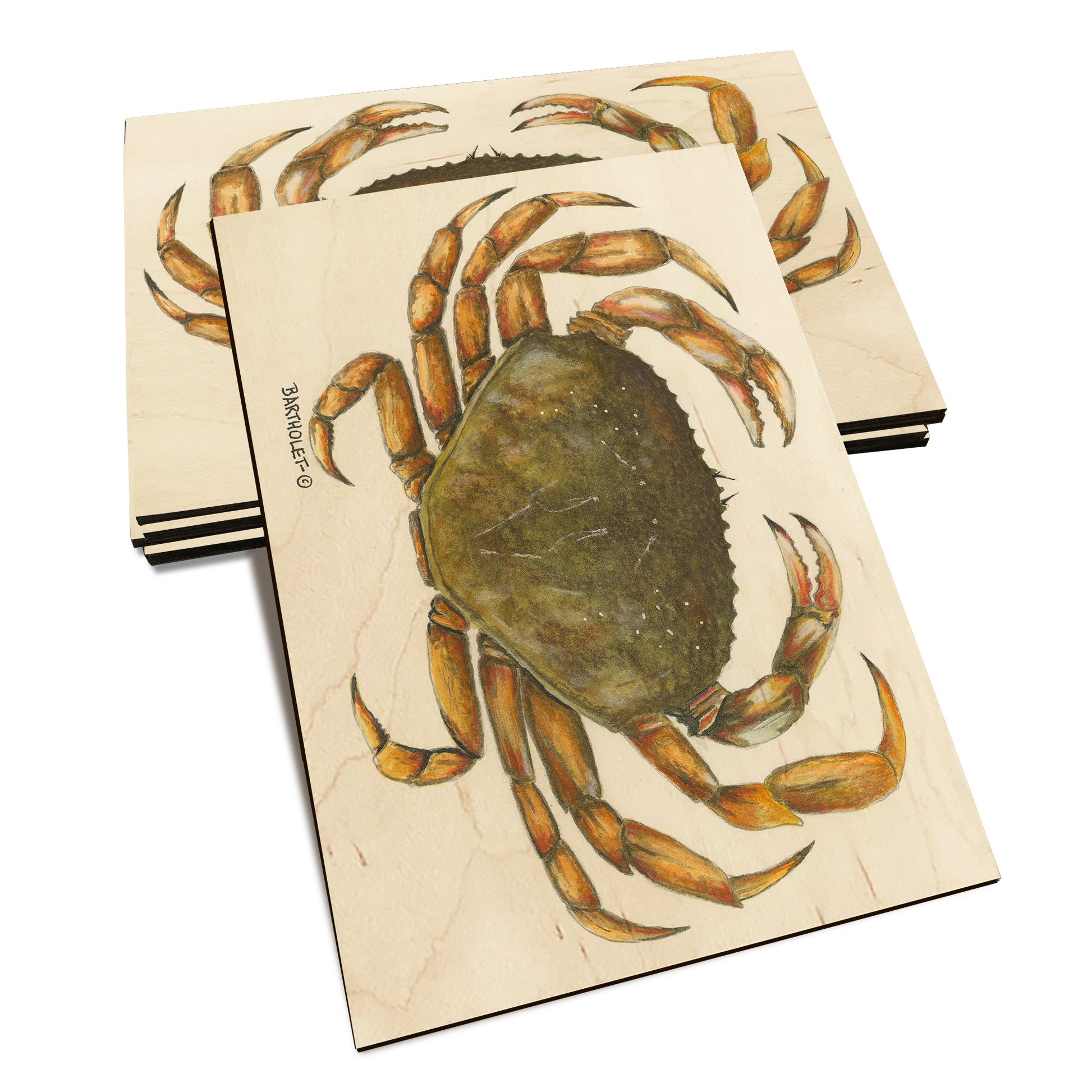 Bartholet's Dungie - Classic Edge Classic Edge Postcard (5pk // $2.80ea)