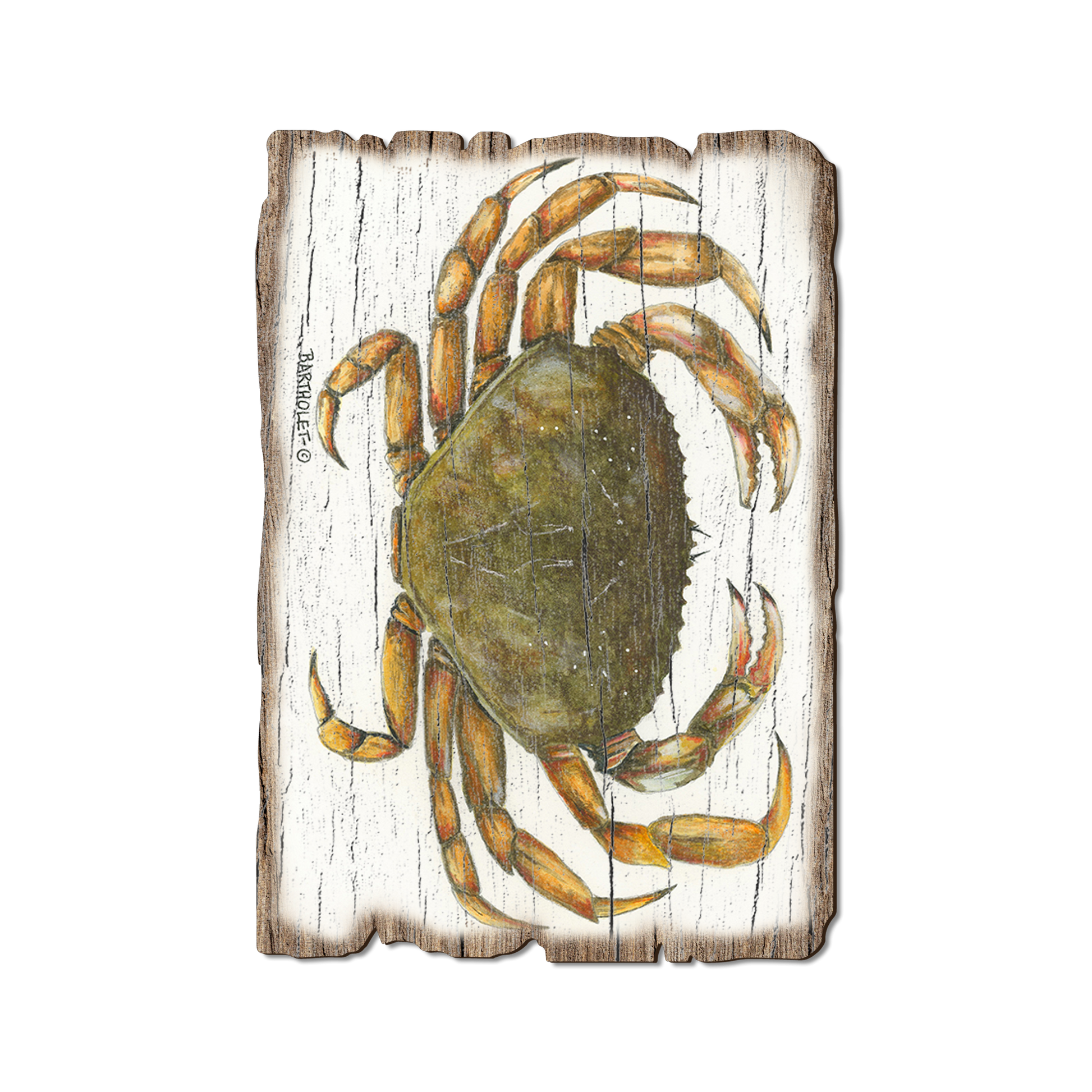 Greeting Card: Weathered Edge - Bartholet's Dungie (Pack of 5)