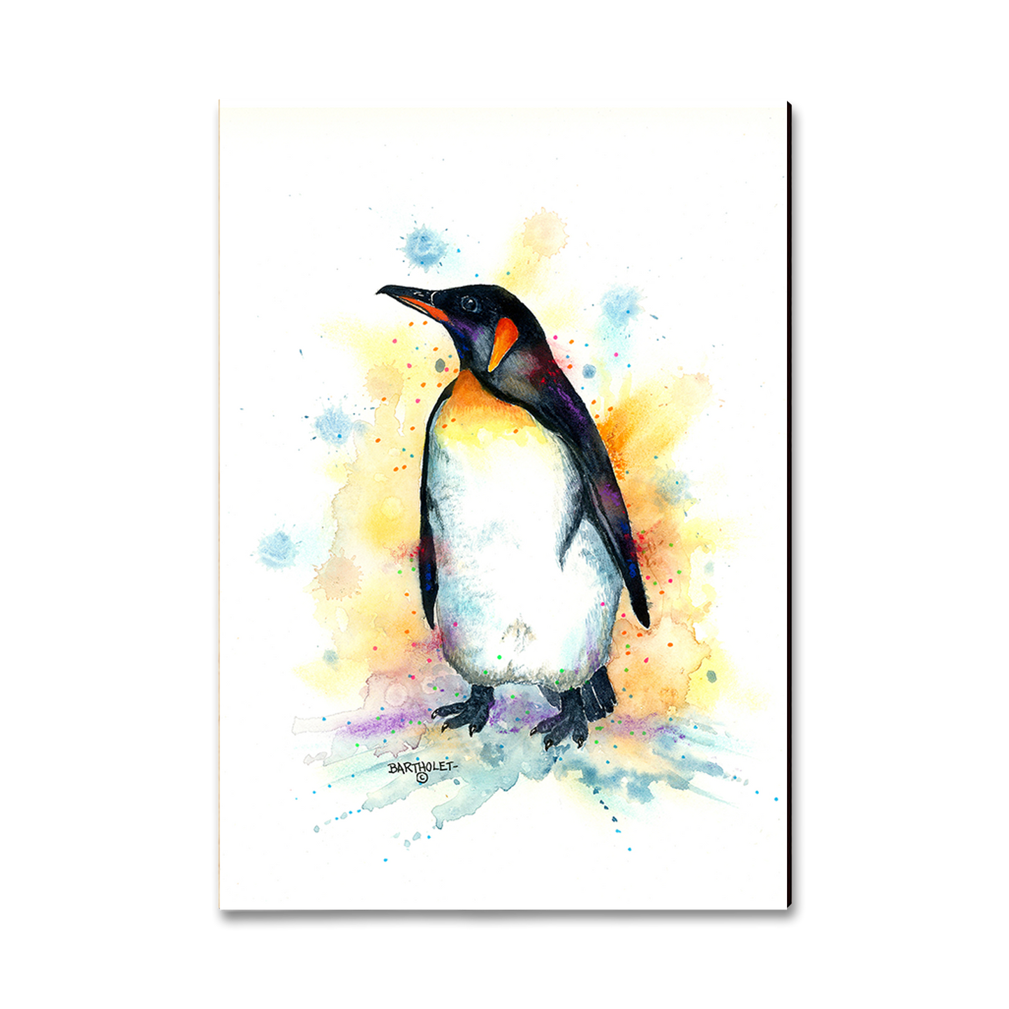 Greeting Card: Classic Edge - Bartholet's Emperor Penguin