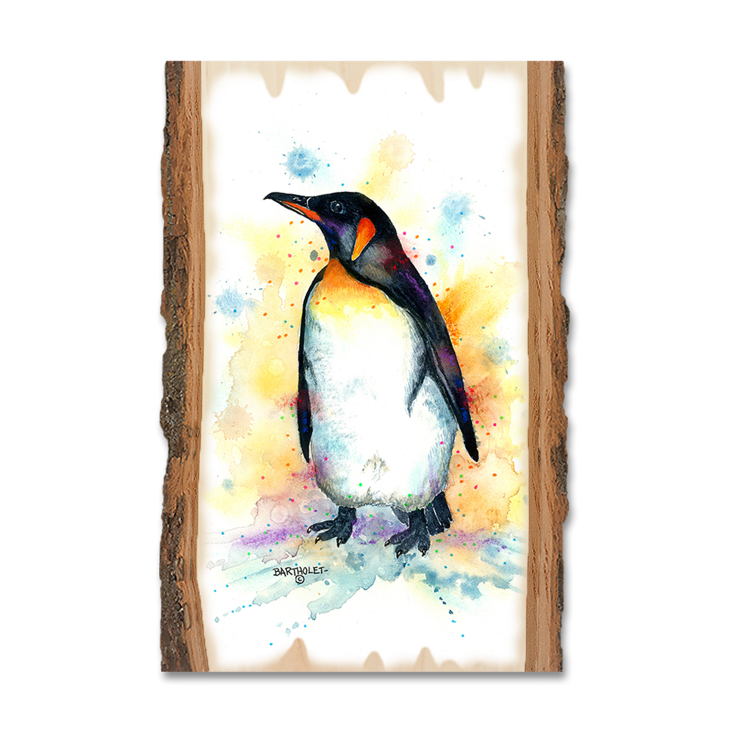 Magnet: Live Edge - Bartholet's Emperor Penguin