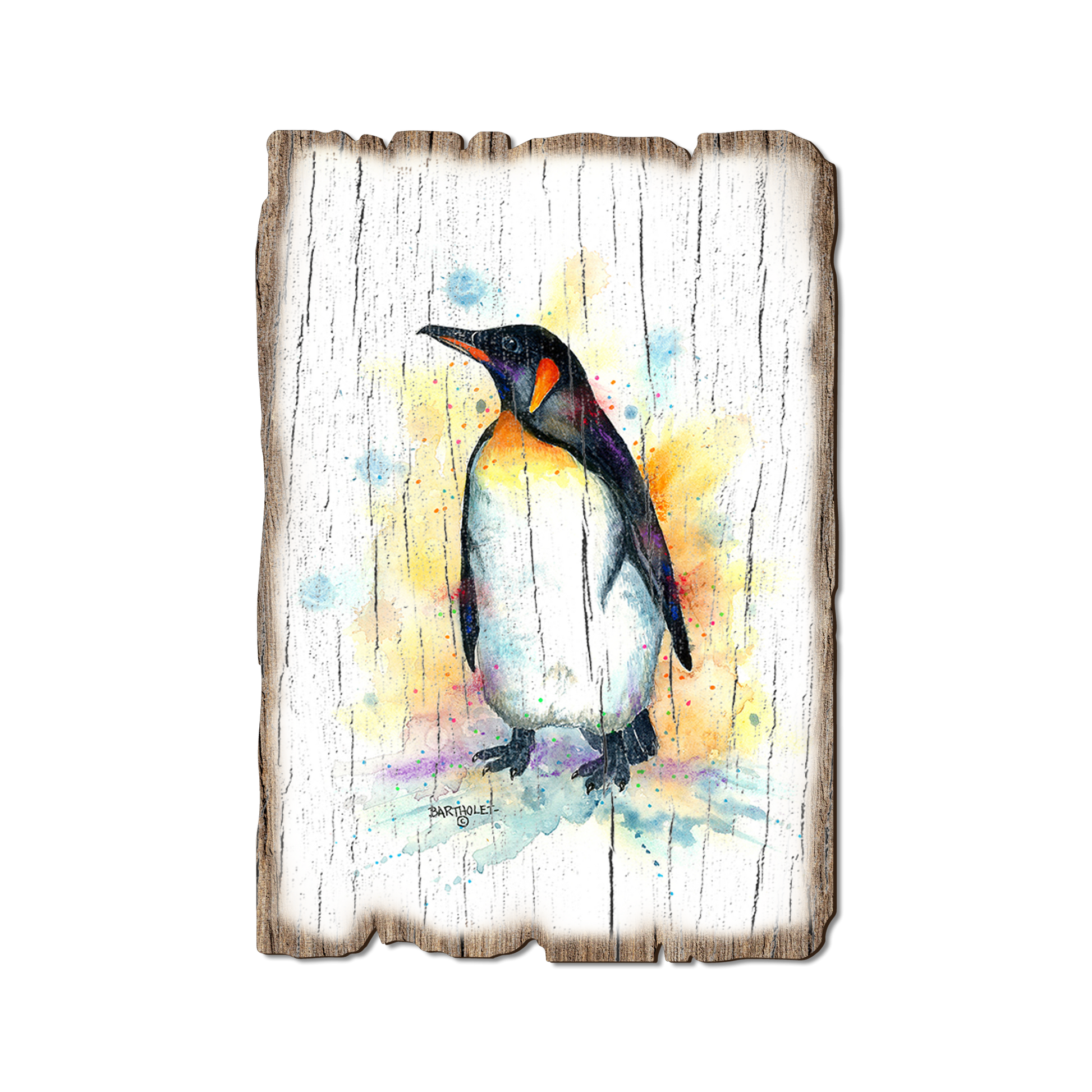 Greeting Card: Weathered Edge - Bartholet's Emperor Penguin (Pack of 5)