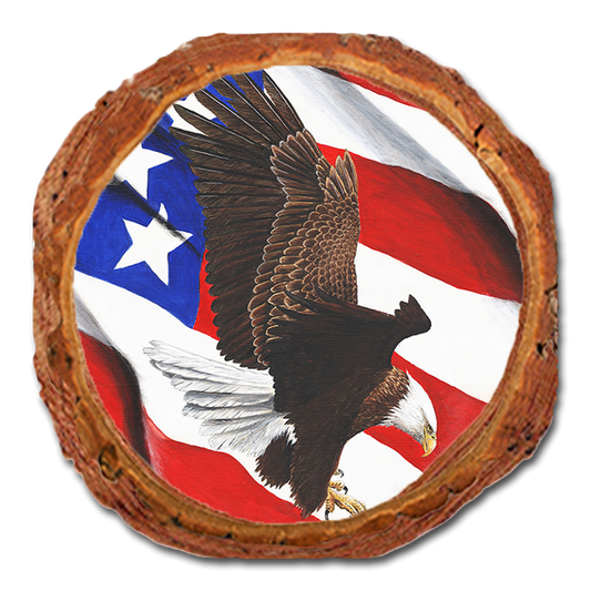 Coaster: Live Edge - Bartholet's Freedom Flight (Pack of 5)
