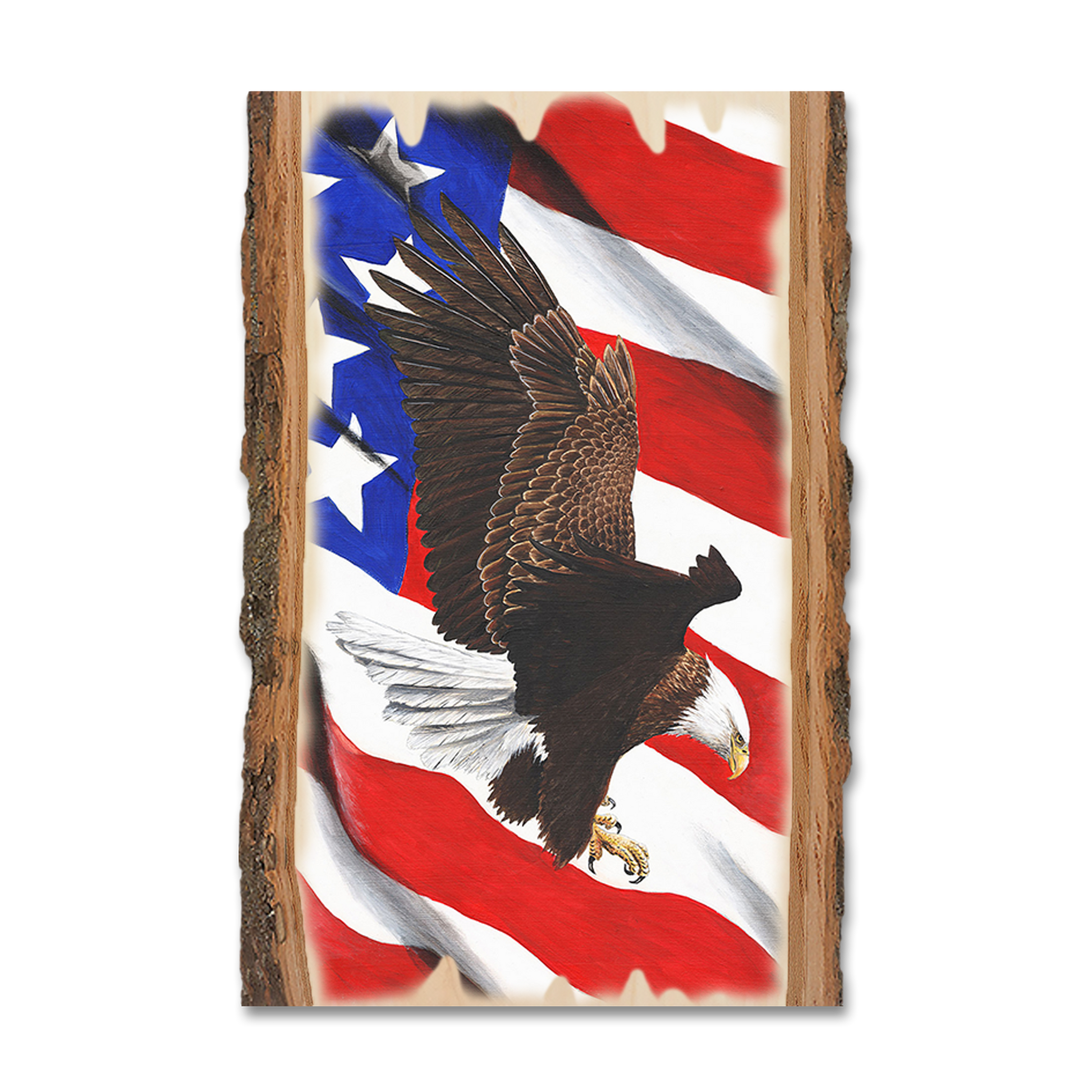 Magnet: Live Edge - Bartholet's Freedom Flight