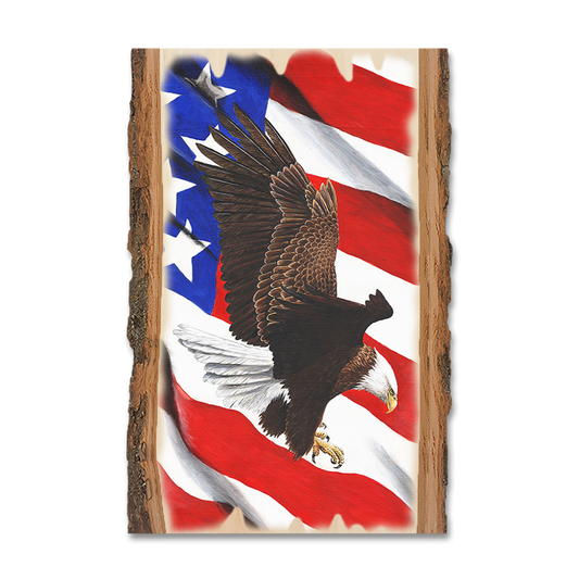 Magnet: Live Edge - Bartholet's Freedom Flight