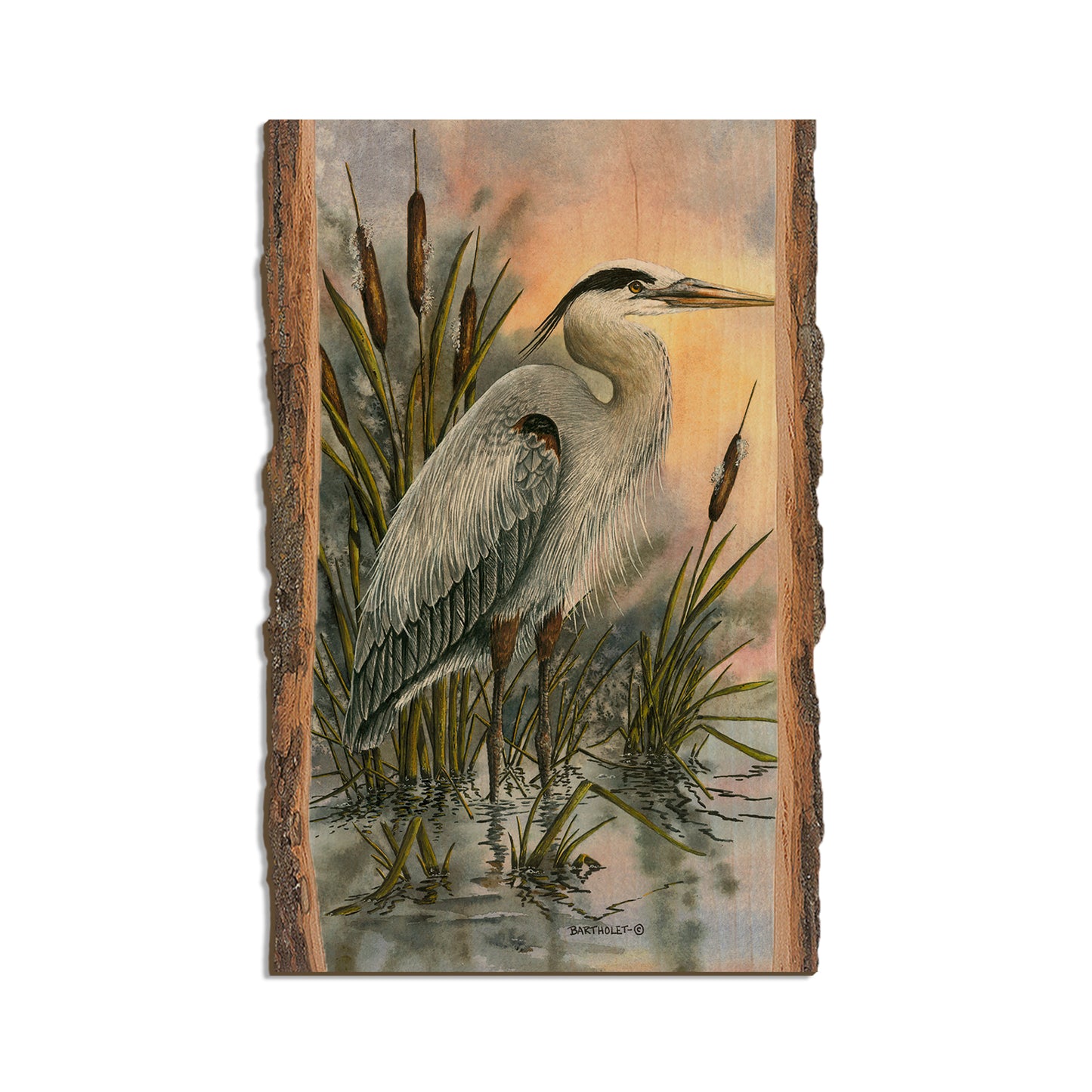 Bartholet's First Light Heron  - Live Edge Live Edge Magnet (5pk // $2.80ea)