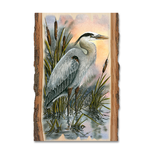 Magnet: Live Edge - Bartholet's First Light Heron