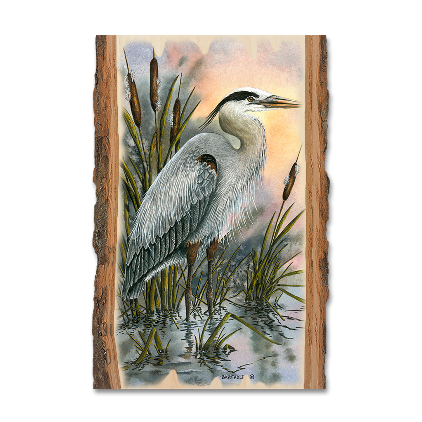 Ornament: Live Edge - Bartholet's First Light Heron