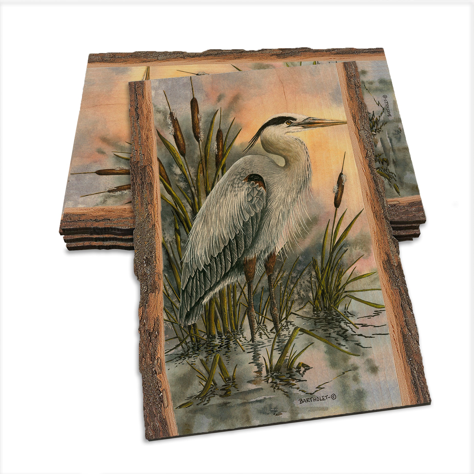 Bartholet's First Light Heron  - Live Edge Live Edge Postcard (5pk // $2.80ea)