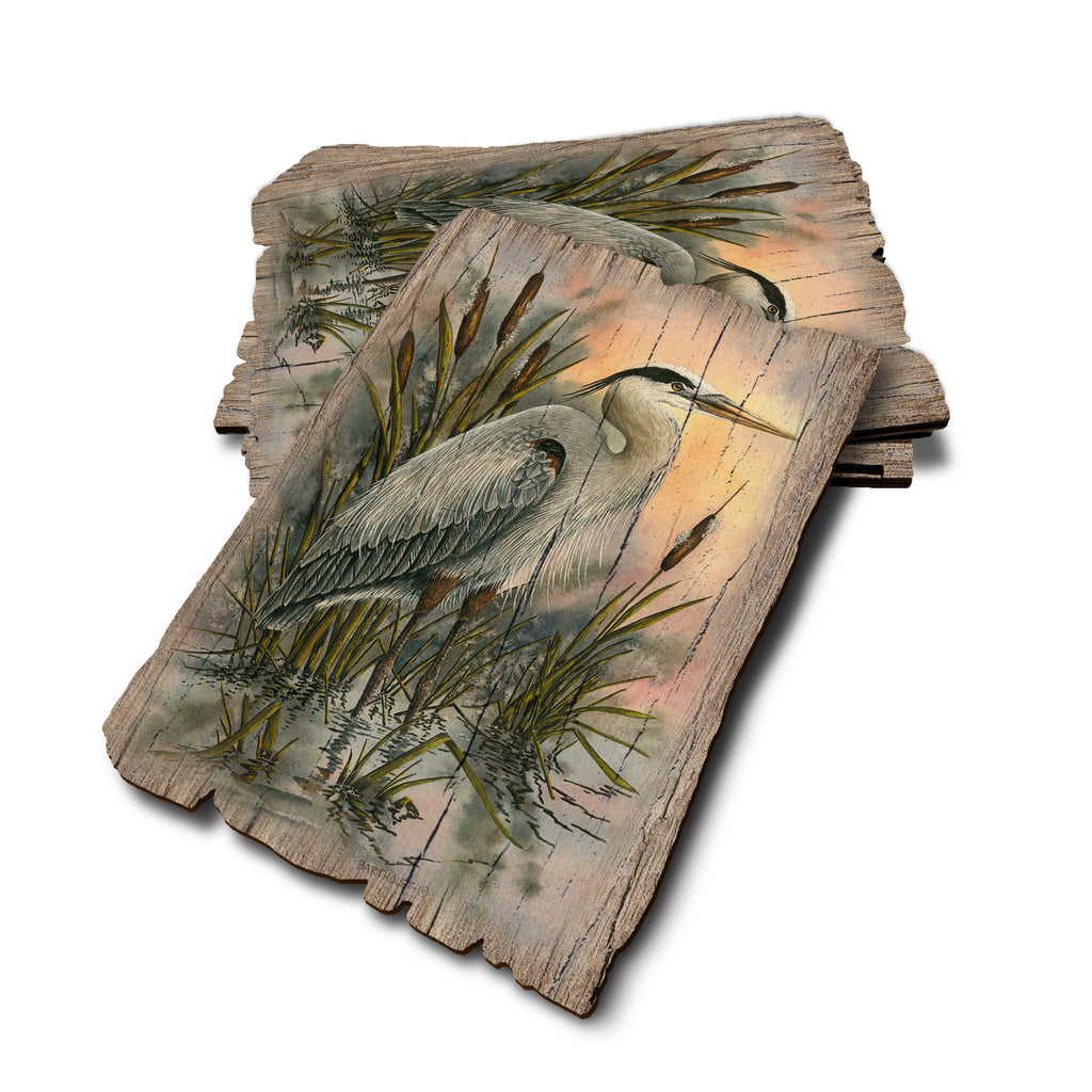 Bartholet's First Light Heron - Weathered Edge Rustic Edge Postcard (5pk // $2.80ea)