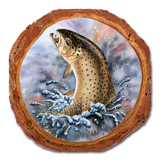 Coaster: Live Edge - Bartholet's Fish On (Brown Trout) (Pack of 5)