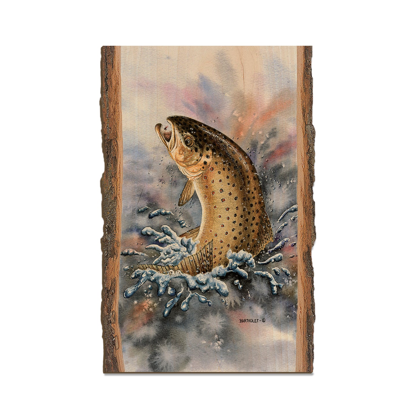 Bartholet's Fish On (Brown Trout)  - Live Edge Live Edge Magnet (5pk // $2.80ea)