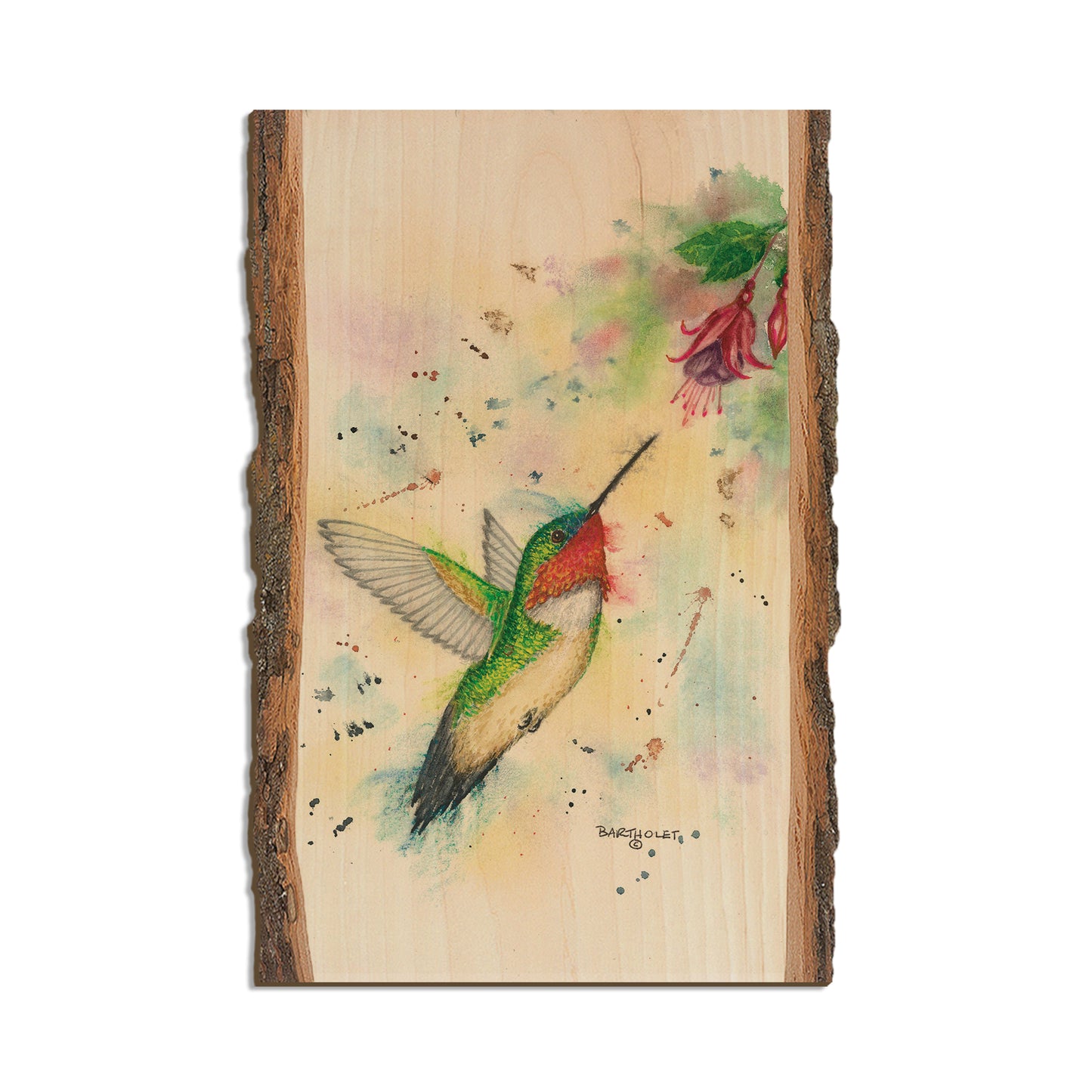 Bartholet's Fuchsia Fun  - Live Edge Live Edge Postcard (5pk // $2.80ea)
