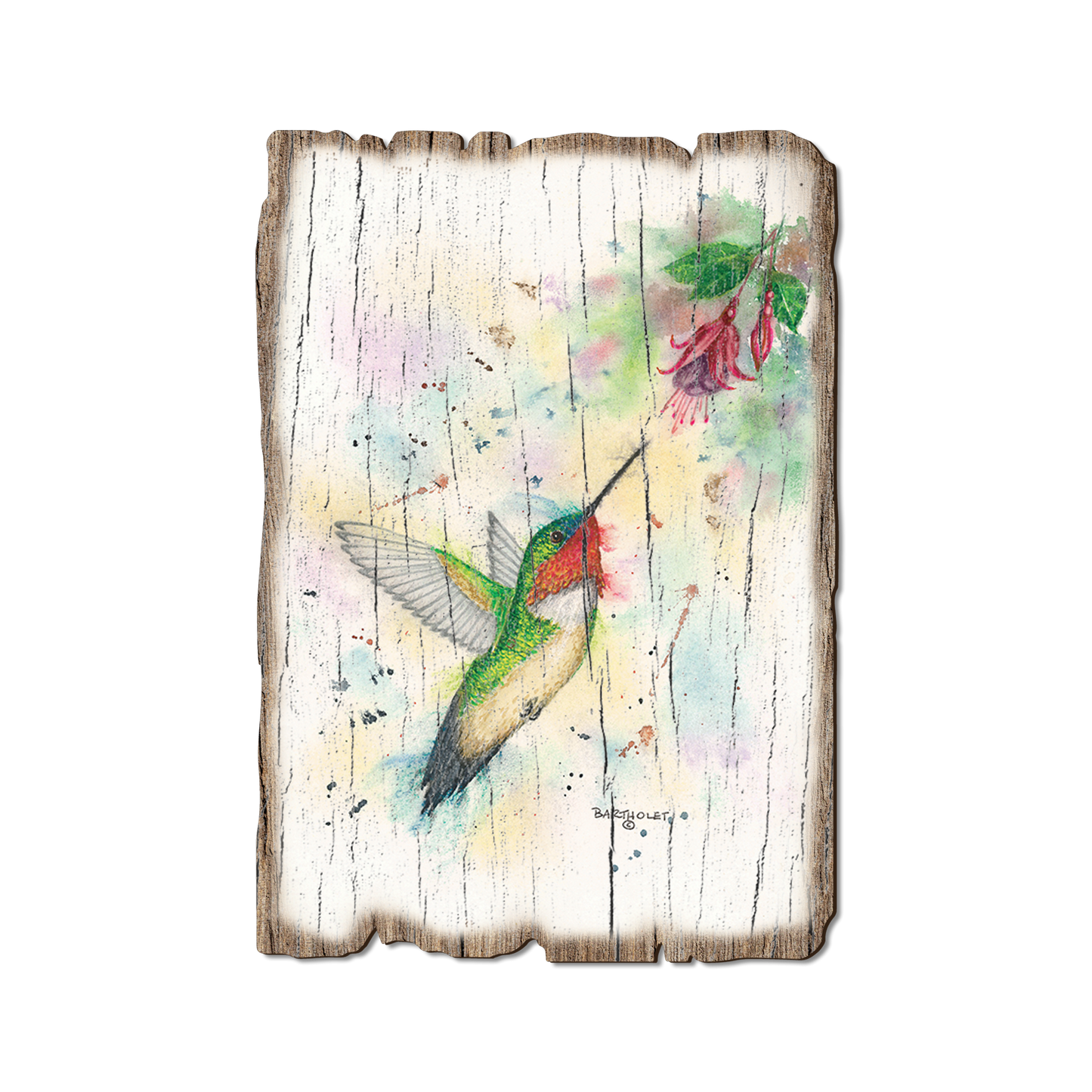 Postcard: Weathered Edge - Bartholet's Fuchsia Fun (Pack of 5)