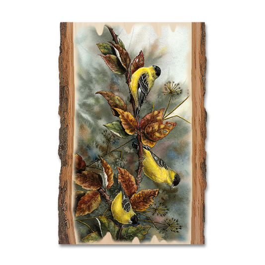 Magnet: Live Edge - Bartholet's Gold Finches