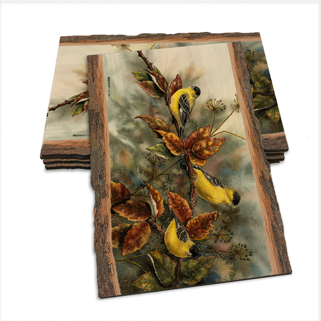 Bartholet's Gold Finches  - Live Edge Live Edge Postcard (5pk // $2.80ea)