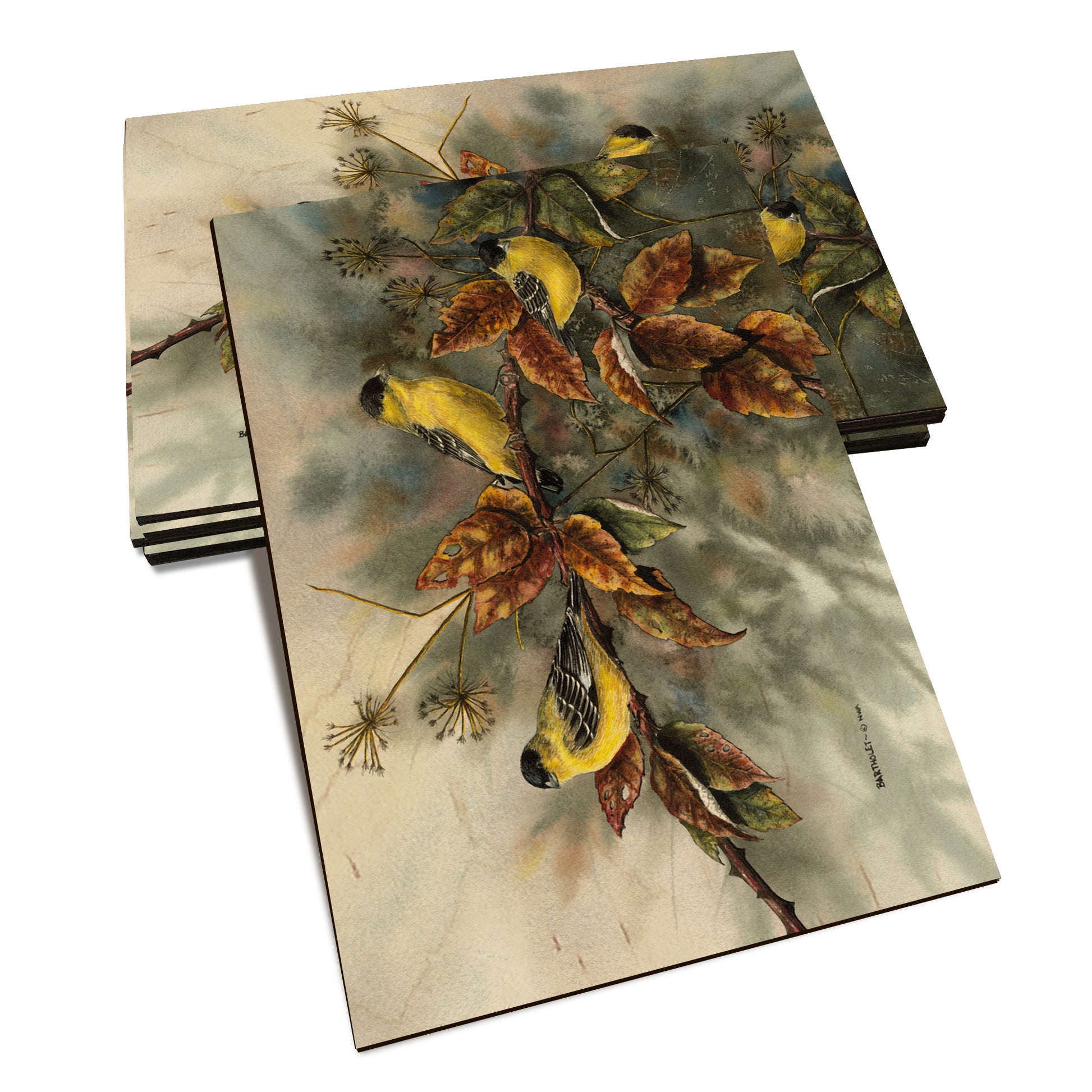 Bartholet's Gold Finches  - Classic Edge Classic Edge Postcard (5pk // $2.80ea)