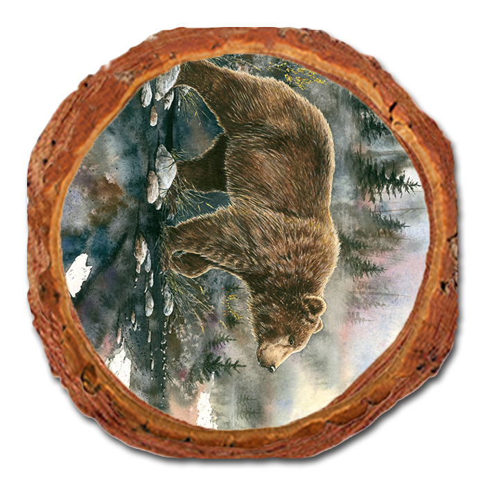 Coaster: Live Edge - Bartholet's Glacier Grizz (Pack of 5)