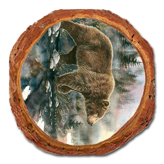 Coaster: Live Edge - Bartholet's Glacier Grizz (Pack of 5)