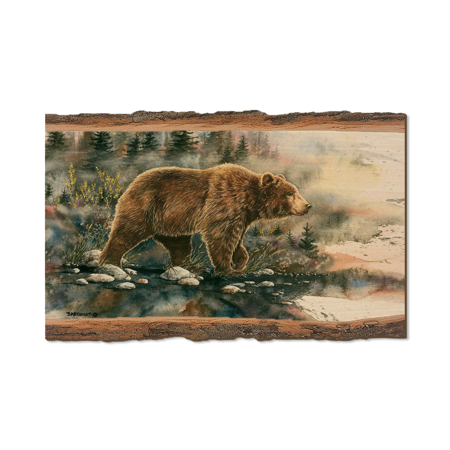 Bartholet's Glacier Grizz  - Live Edge Live Edge Magnet (5pk // $2.80ea)