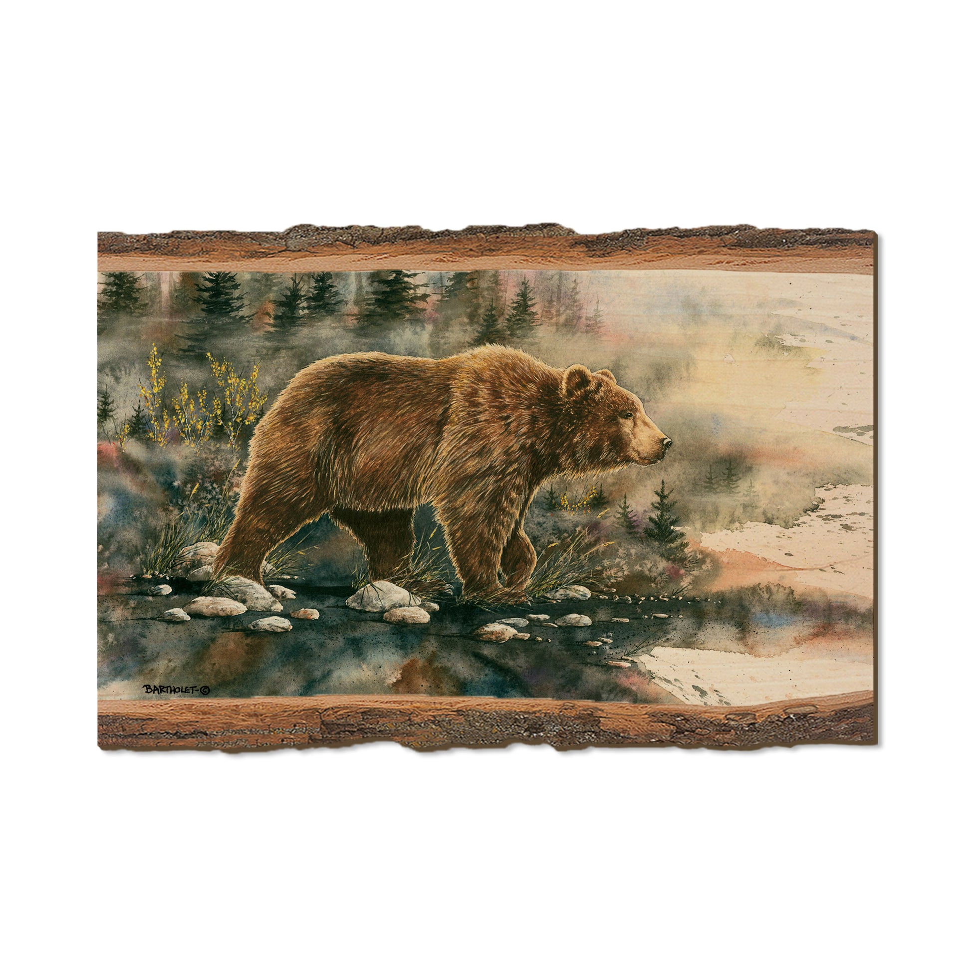 Bartholet's Glacier Grizz  - Live Edge Live Edge Postcard (5pk // $2.80ea)