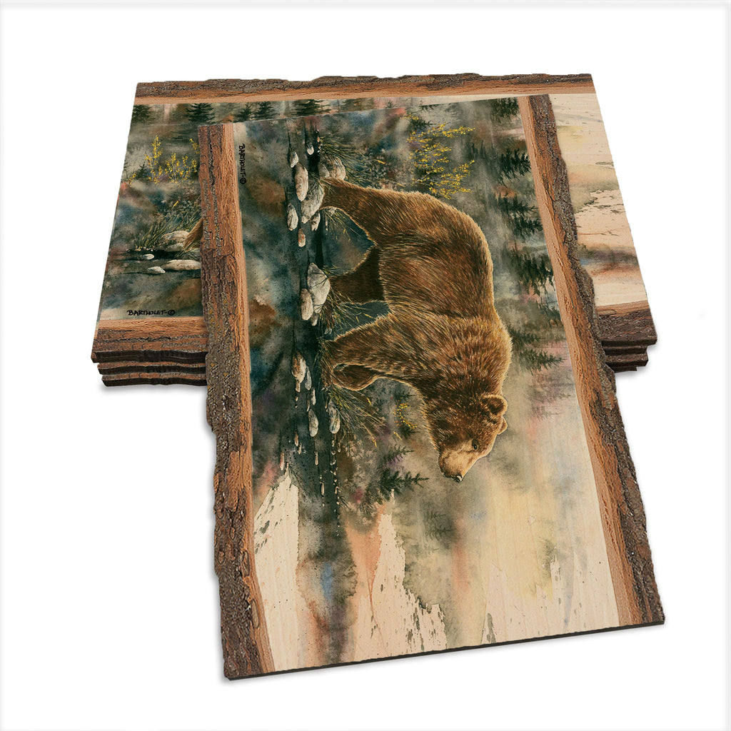 Bartholet's Glacier Grizz  - Live Edge Live Edge Postcard (5pk // $2.80ea)