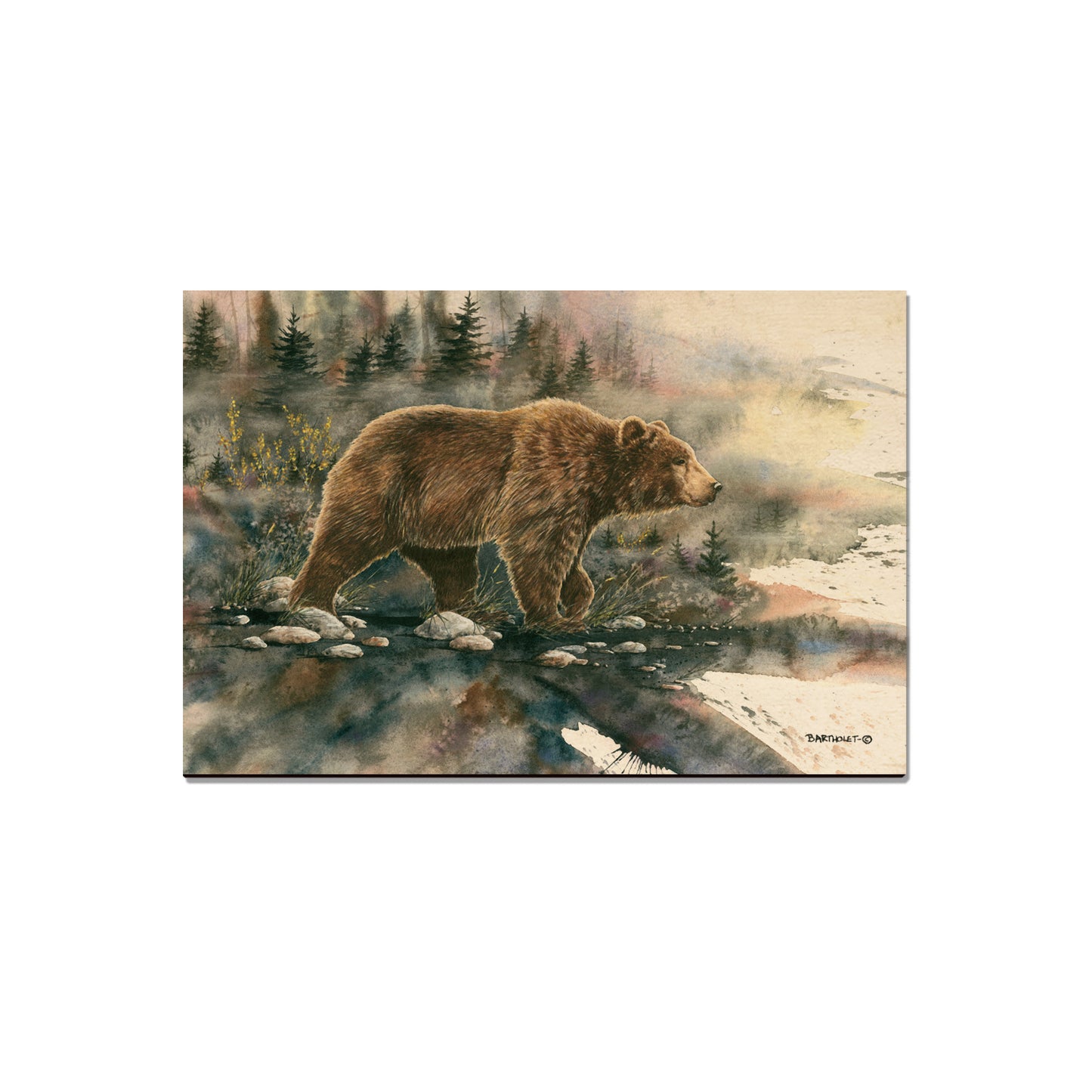 Bartholet's Glacier Grizz  - Classic Edge