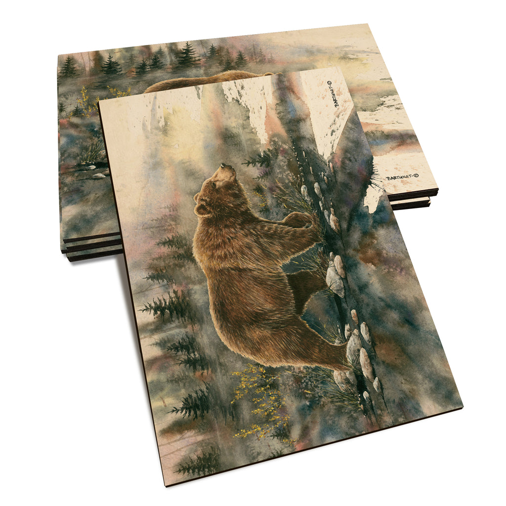 Bartholet's Glacier Grizz  - Classic Edge Classic Edge Postcard (5pk // $2.80ea)