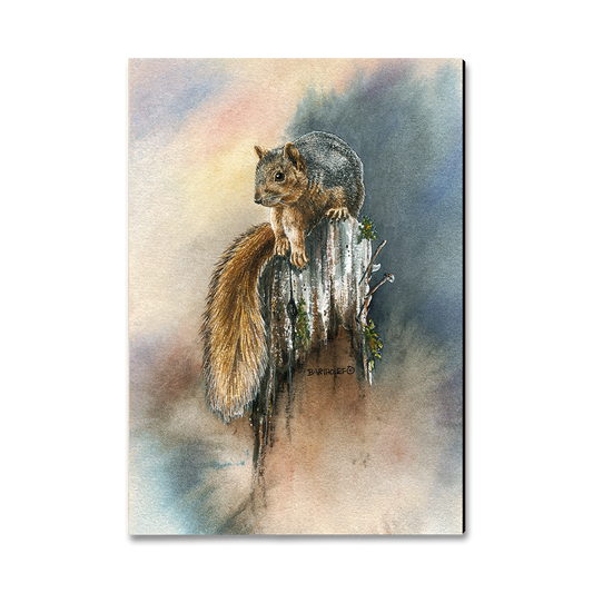 Greeting Card: Classic Edge - Bartholet's Grey Squirrel