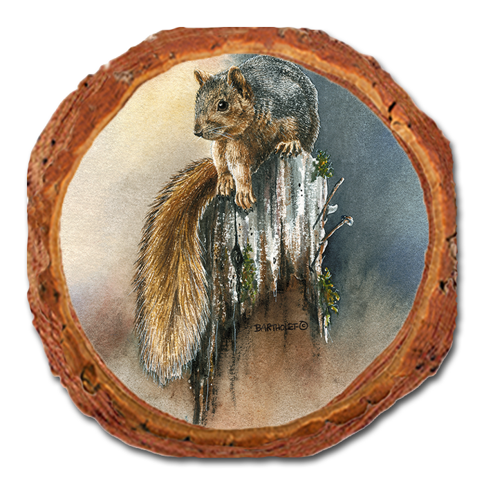 Coaster: Live Edge - Bartholet's Grey Squirrel