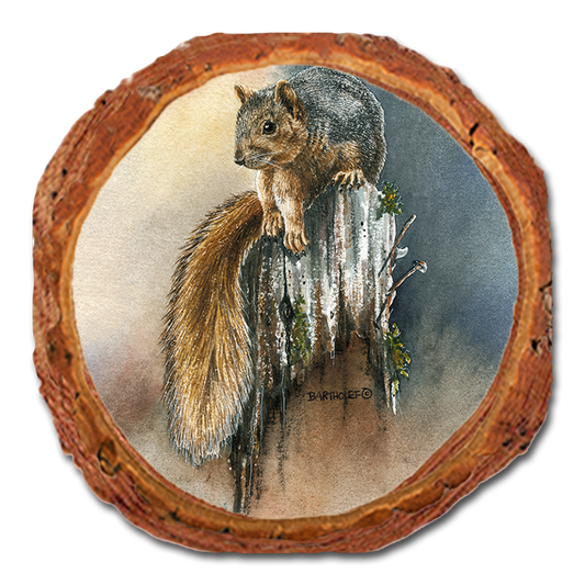 Coaster: Live Edge - Bartholet's Grey Squirrel