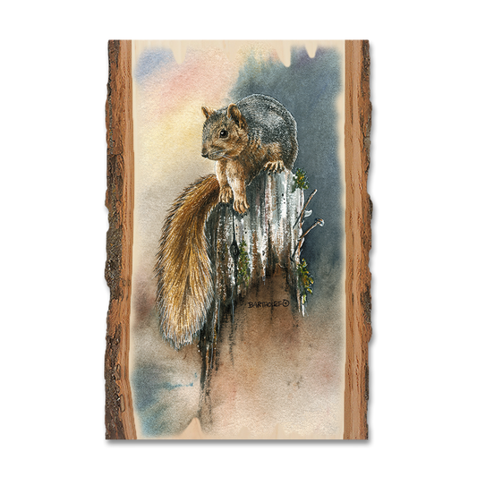 Magnet: Live Edge - Bartholet's Grey Squirrel